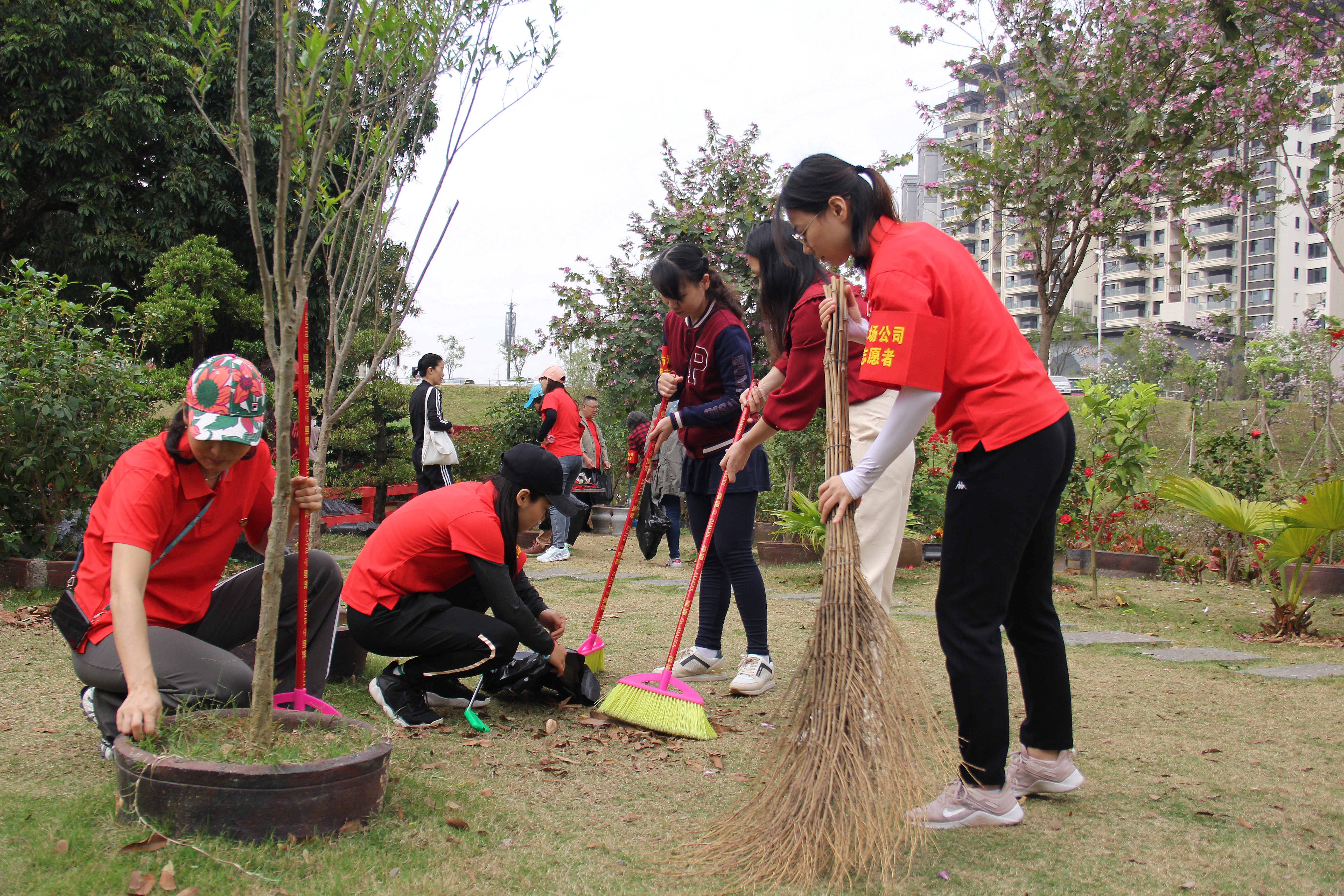 /QJ_675748831655.jpg 黨員志愿服務(wù)(拍攝:柒紅).JPG